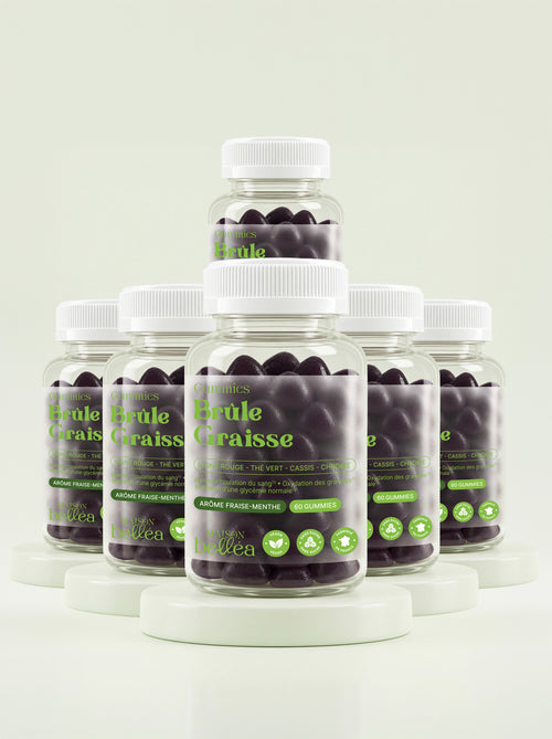 Cure 6 mois Brûle-Graisse : 6 boîtes