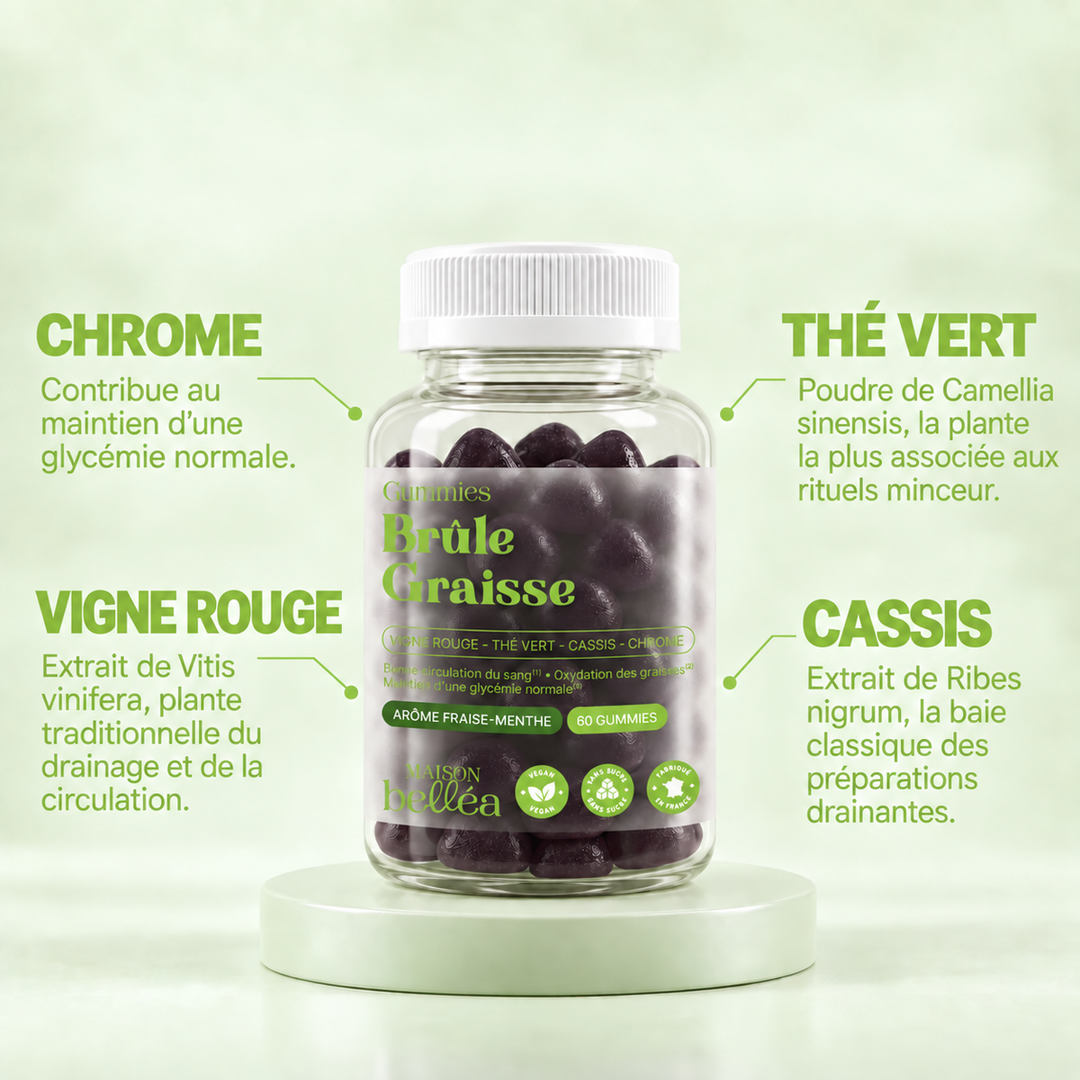 Gummies Brûle-Graisse et leurs actifs : thé vert, vigne rouge, cassis, chrome