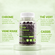 Gummies Brûle-Graisse et leurs actifs : thé vert, vigne rouge, cassis, chrome