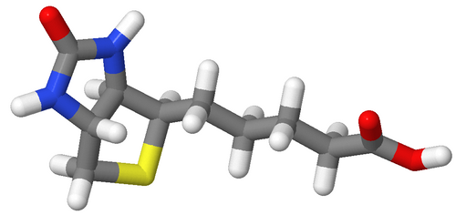 Vitamine B8 (Biotine)